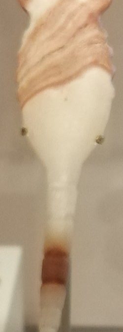 Alabaster scorpion amulet