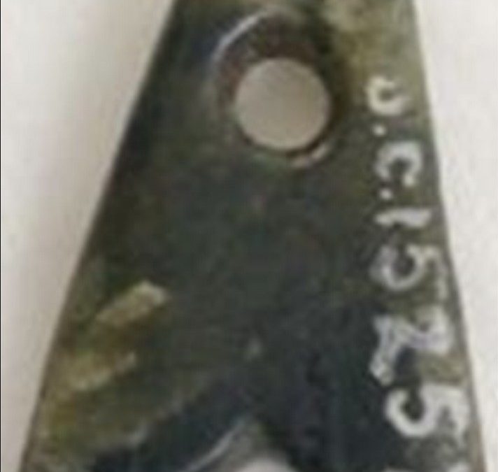 Green serpentine fly amulet