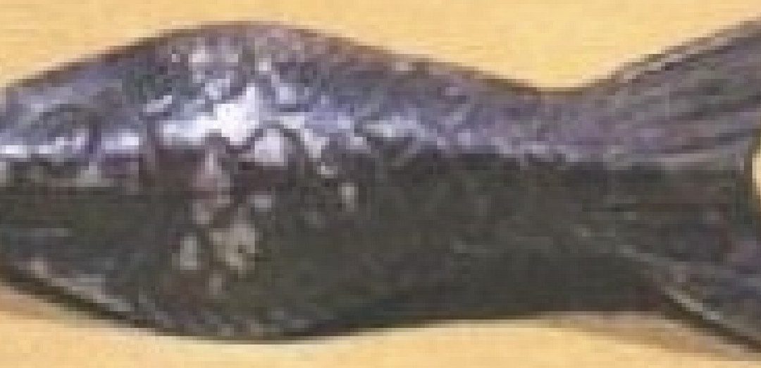 silver petrocephalus bane fish view 1